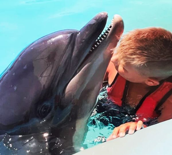 Delfinarium